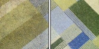 carpet cleaning before after