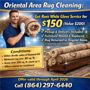 Oriental Area Rug Cleaning offer