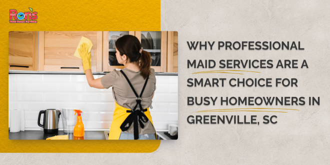 Professional Maid Services